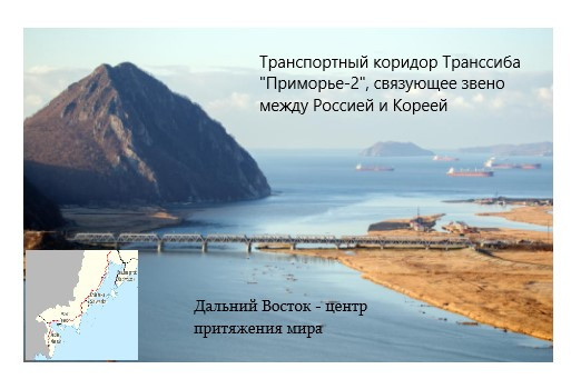 Тодоревская Светлана Сергеевна
